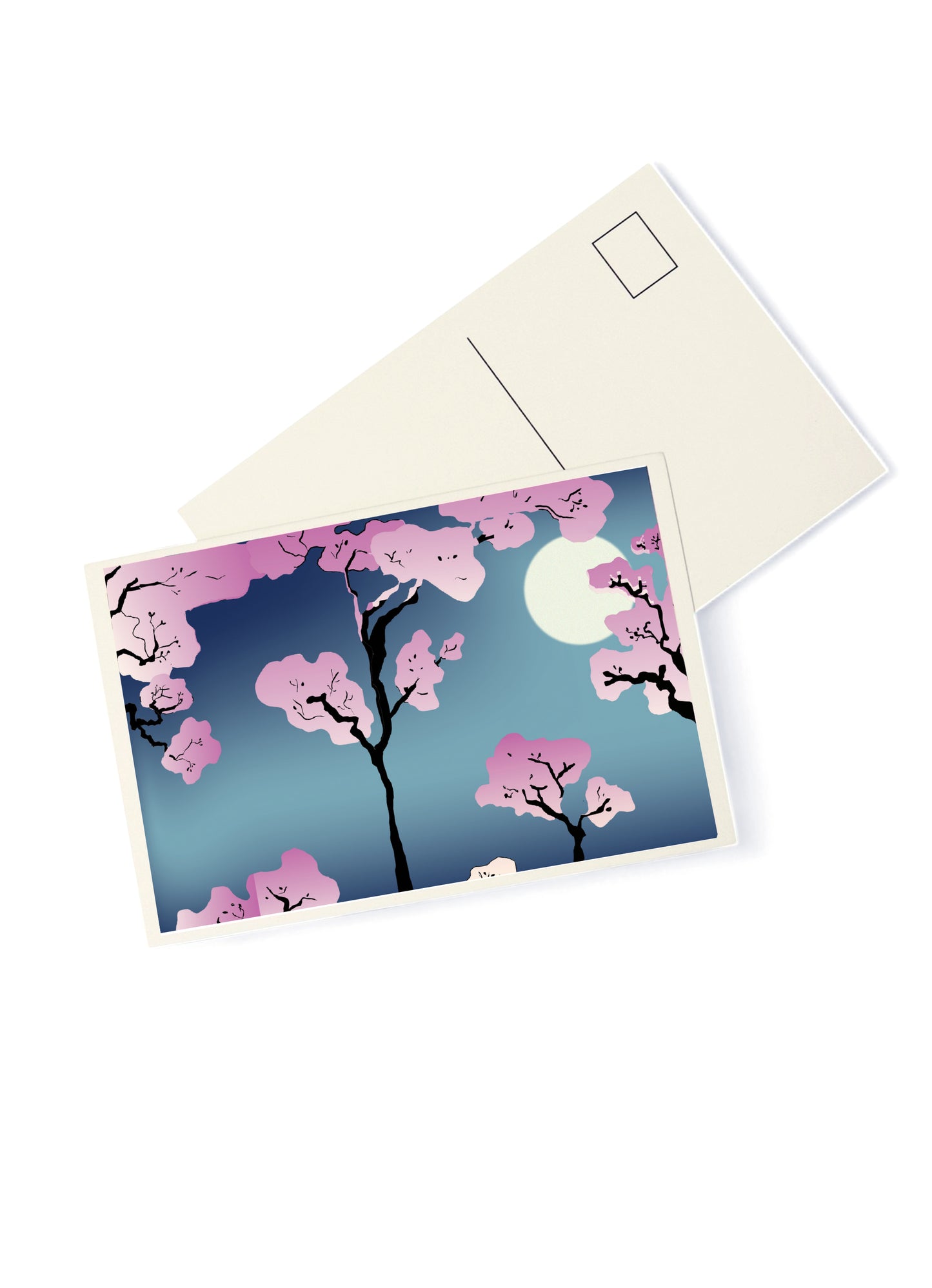 CHERRY BLOSSOMS POSTCARD